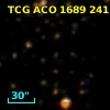 TCG ACO  1689 241