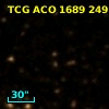 TCG ACO  1689 249