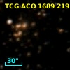 TCG ACO  1689 219