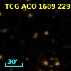 TCG ACO  1689 229