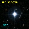 HD 237075