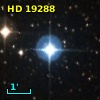 HD  19288