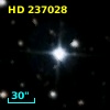 HD 237028