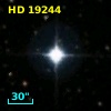 HD  19244