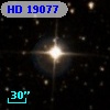 HD  19077