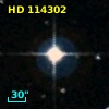 HD 114302