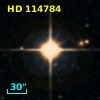 HD 114784