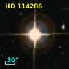 HD 114286
