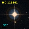 HD 115341