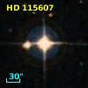 HD 115607