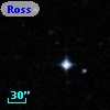 Ross  976