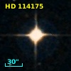 HD 114175