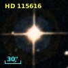 HD 115616