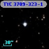 TYC 3709-323-1