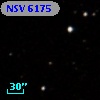 NSV  6175