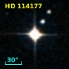 HD 114177