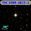 TYC 3709-1023-1