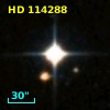 HD 114288