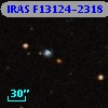 IRAS F13124-2318