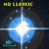 CD-23 10974C