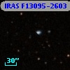 IRAS F13095-2603