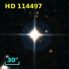 HD 114497