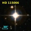 HD 115066