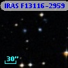 IRAS F13116-2959