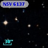 NSV  6137