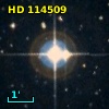 HD 114509