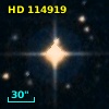 HD 114919