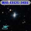 IRAS 13125-3431