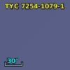 TYC 7254-1079-1