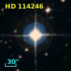 HD 114246