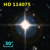 HD 114075