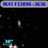 IRAS F13096-3636