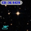 CD-36  8429