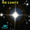 HD 114473