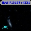IRAS F13167+4331