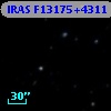 IRAS F13175+4311
