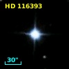HD 116393