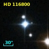 HD 116800