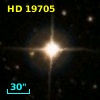 HD  19705