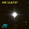 HD 116737