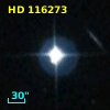HD 116273