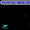 RASSCALS NRGb245