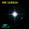 HD 116514
