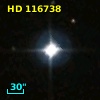 HD 116738