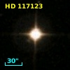 HD 117123
