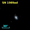 SN 1989ad